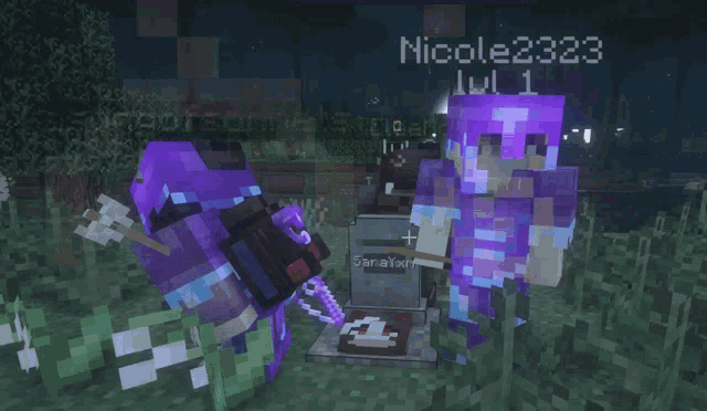 two purple minecraft characters are standing next to each other with the names asongofsonnets and nicole2323