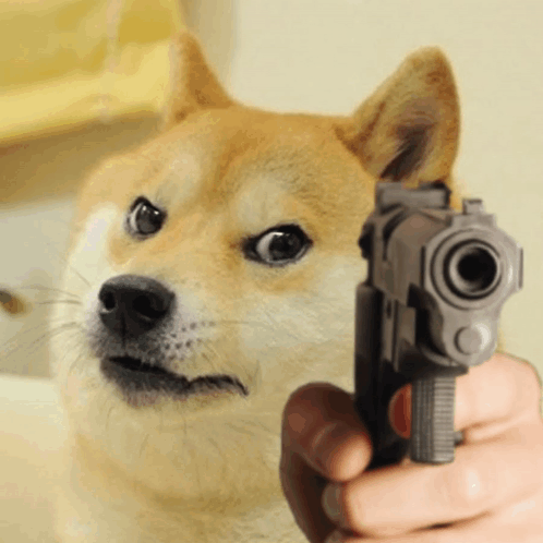 Dog Shooting GIF - Dog Shooting Gun GIFs
