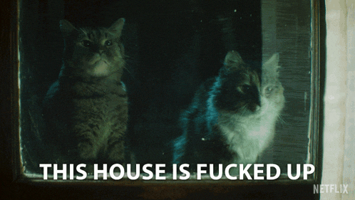 two cats are looking out of a window with the caption this house is fucked up netflix