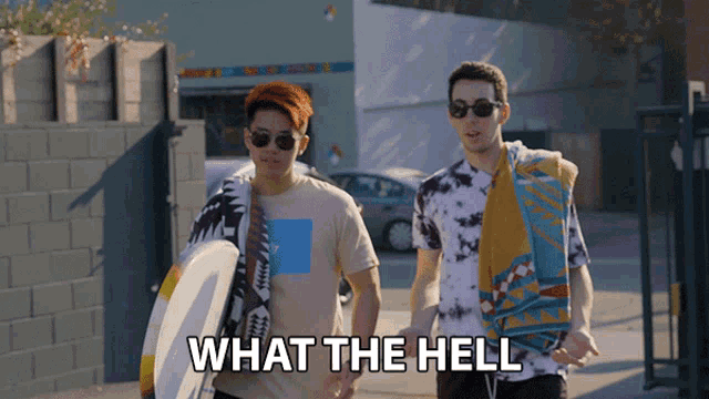 two men walking down a street with the words " what the hell " behind them