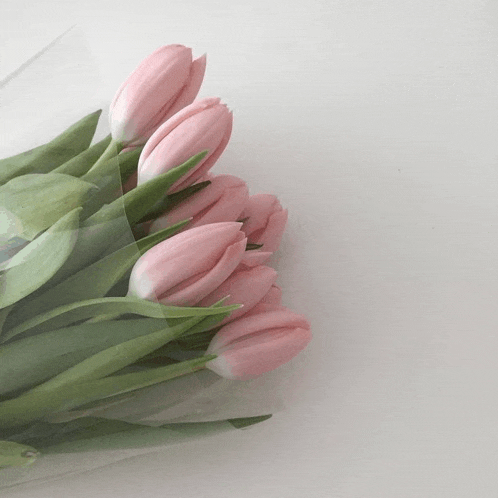 a bunch of pink flowers with green leaves wrapped in plastic