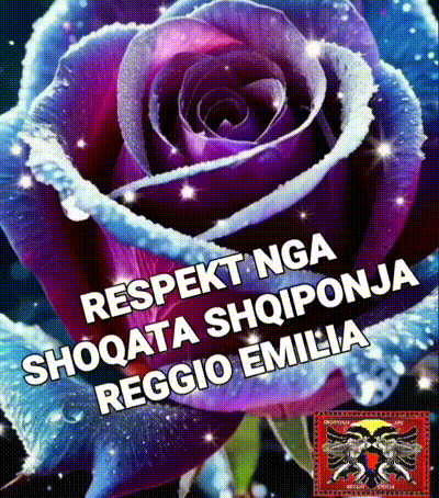 a purple rose with the words " respekt nga shoqata shiiponta reggio emilia " on it