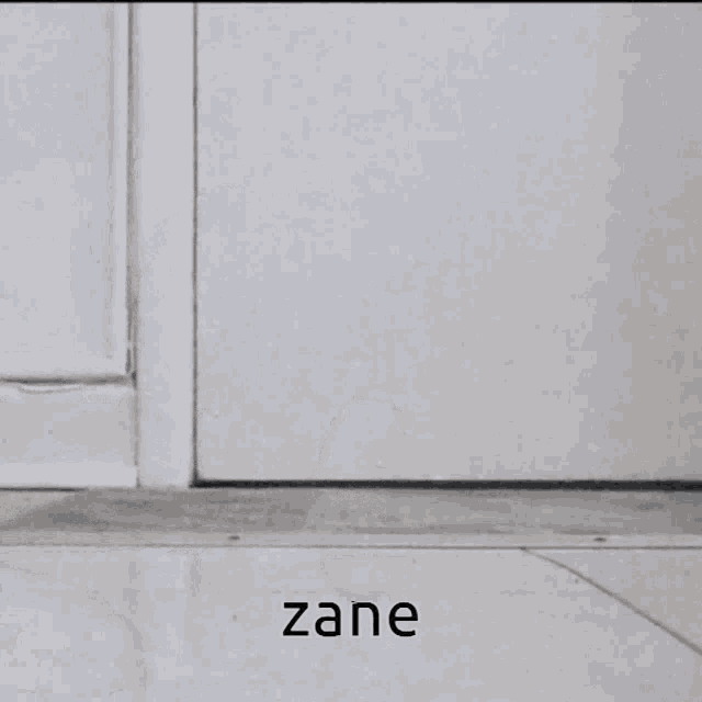 Zane Zane Romeave GIF - Zane Zane Romeave Aphmau GIFs