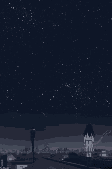 a person standing on a roof looking at the stars