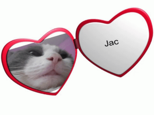 Jac Jac The Cat GIF - Jac Jac The Cat Lovely Jac GIFs