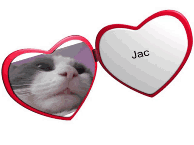 a heart shaped mirror with jac written on the front