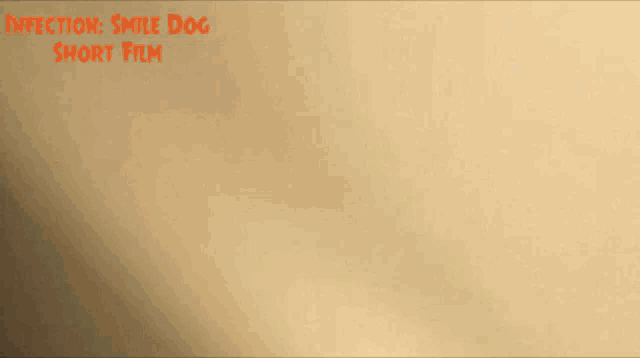 a dark brown background with the words infection smile dog short film on it