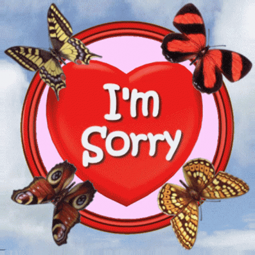 Im Sorry Really Sorry GIF - Im Sorry Really Sorry Sorry Heart GIFs