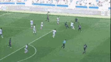 a group of soccer players are playing on a field