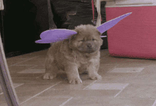 a brown puppy wearing purple wings is sitting on a tiled floor