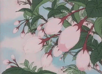 Bloom Anime GIF - Bloom Anime Blossom GIFs