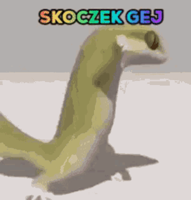a cartoon lizard is standing on a white surface with the words skoczek gej written on it .