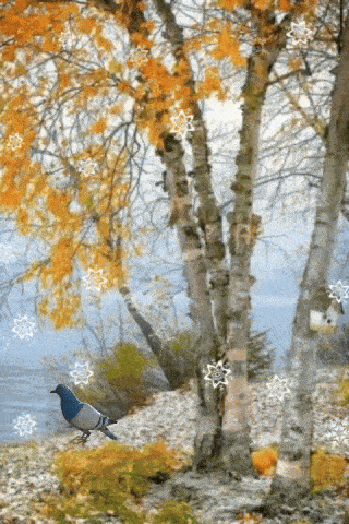 a blue and white bird sitting under a tree with snowflakes falling