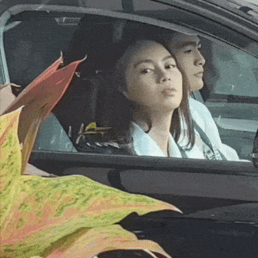 Amnse Ashdres GIF
