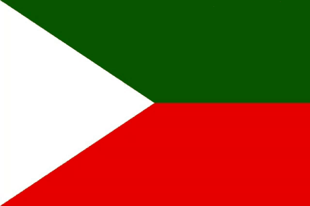 a man stands in front of a green white and red flag with #free yasinmalik written below him