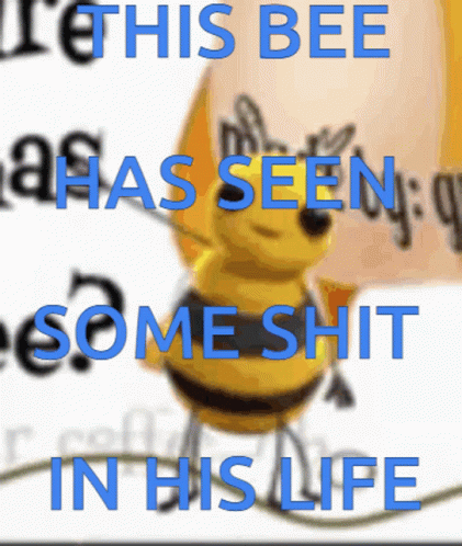 This Bee Has Seen Some Shit GIF - This Bee Has Seen Some Shit GIFs