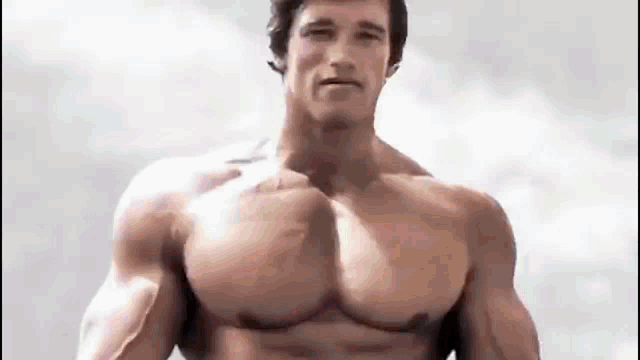 a shirtless arnold schwarzenegger is standing in front of a cloudy sky and looking at the camera .