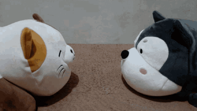 a stuffed cat and a stuffed dog are laying next to each other on a table