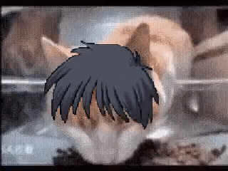 a pixel art of a cat with a person 's head on its head .