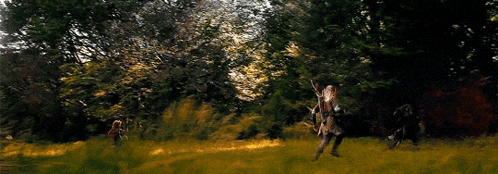 a group of people are running through a grassy field in the woods