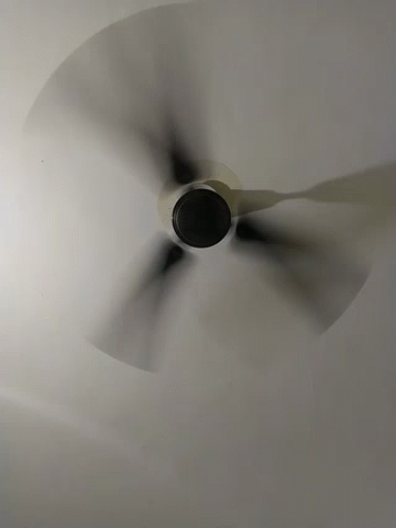 Ceiling Fan Spinning GIF - Ceiling Fan Spinning Ceiling GIFs