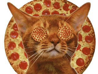 Pizza GIF - Pizza Cat Hypnotize GIFs