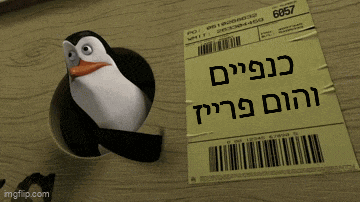 a penguin is sticking its head out of a hole in a piece of paper that says 6567