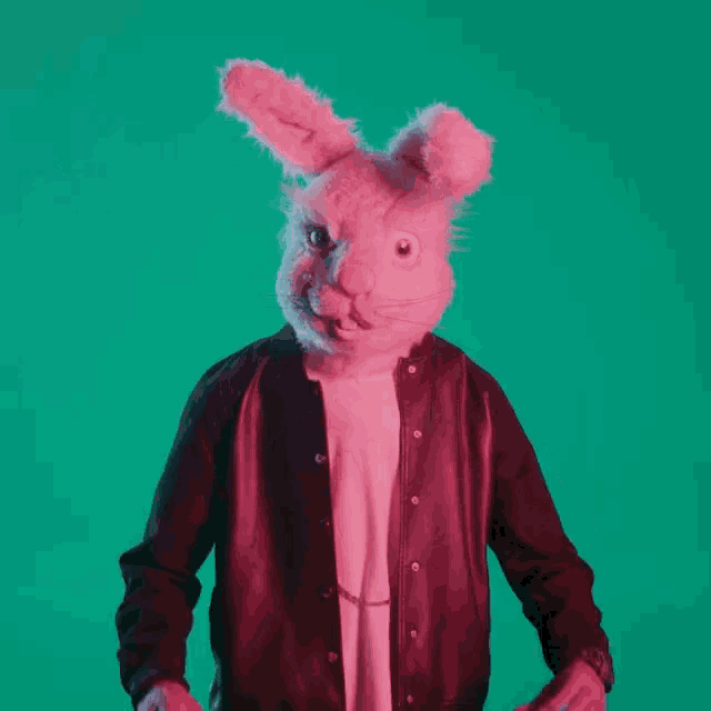 a person wearing a pink bunny mask and a red jacket