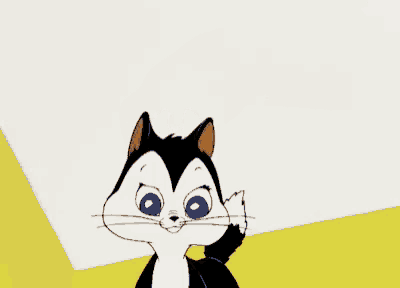 a black and white cat with blue eyes is being petted by a brown hand