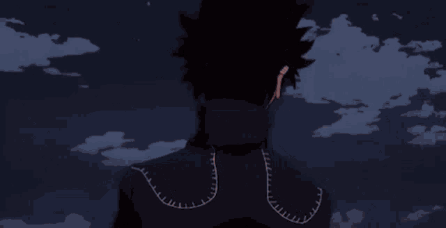 a close up of a person 's back with a cloudy sky behind them .