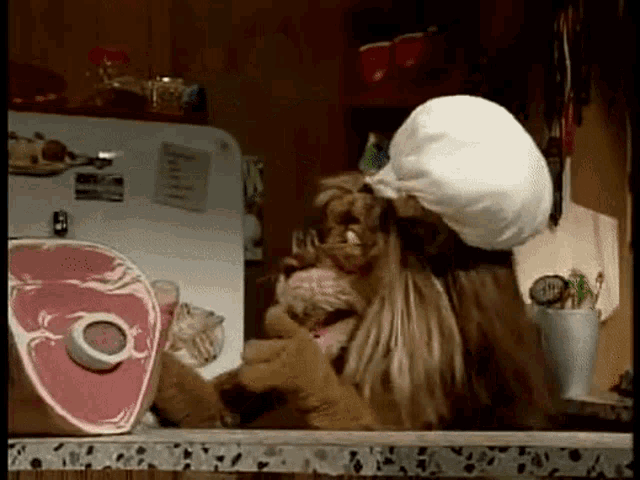 Between The Lions Theo Lion GIF - Between The Lions Theo Lion Ham GIFs