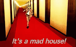 It'S A Mad House! GIF - Mad House Its A Mad House Anime GIFs