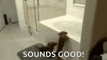 a dog is playing in a bathtub in a bathroom with the words `` sounds good ! ''