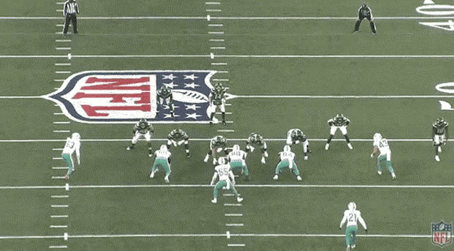 a group of football players on a field with the nfl logo on the sidelines