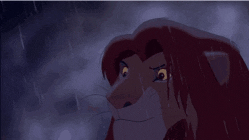a lion is standing on top of a rock in the dark