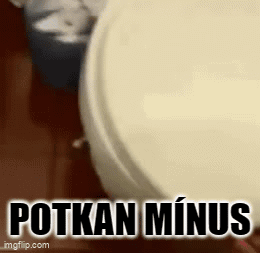Potkan Minus Pavel GIF - Potkan Minus Potkan Minus GIFs