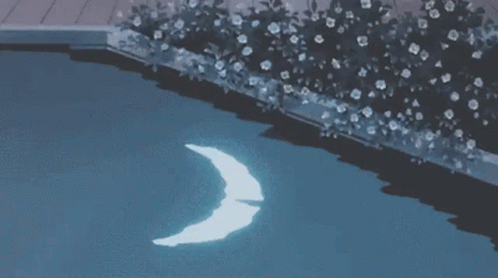 Moon Water GIF - Moon Water Reflection GIFs