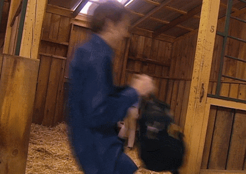 a man in a blue shirt is standing in a stable with the number 5 on the side