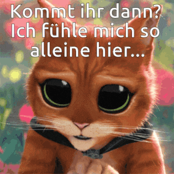 a picture of a cat with the words kommt ihr dann ich fühle mich so alleine hier written above it
