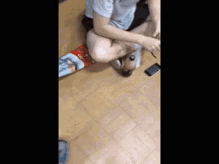 a person sitting on the floor with a dog and a bag of dog food on the floor