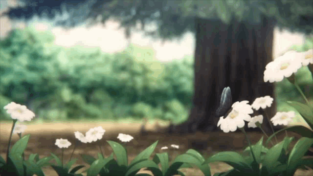 a butterfly is flying over a field of flowers in a forest .