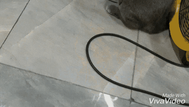 a video made with vivavideo is shown on a tile floor