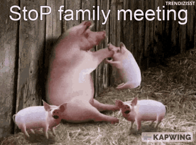 Stop Family Meeting GIF
