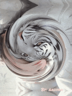 a picture of a swirl with the name nadyan written on the bottom