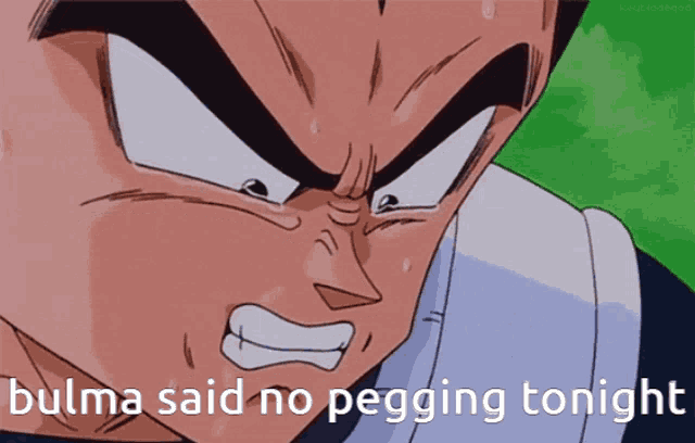 a picture of a cartoon character with the words bulma said no pegging tonight