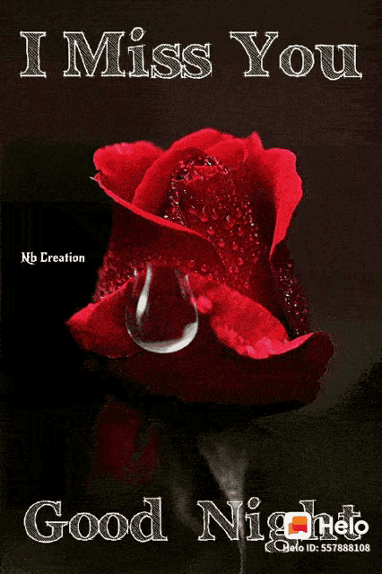 a red rose with water drops and the words " i miss you "
