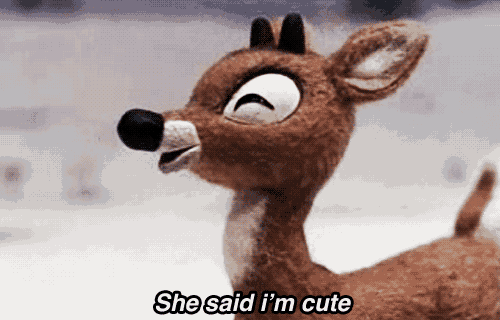a stuffed reindeer with the words she said i 'm cute above it