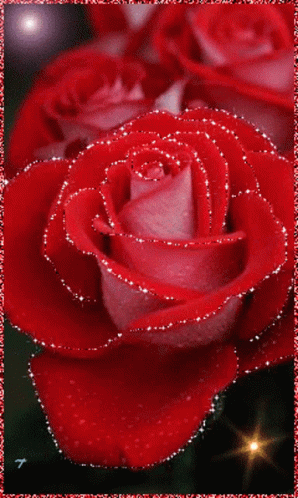 Roses Res Roses GIF - Roses Res Roses Sparkling GIFs