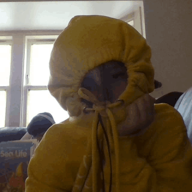 a person wearing a yellow hooded jacket with a book behind them that says " a fairy life "
