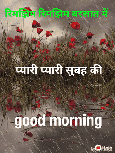 a picture of red flowers and the words good morning in a foreign language